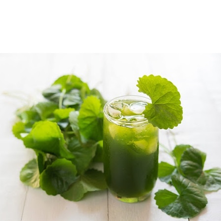 CÔNG TY TNHH THƯƠNG MẠI & LOGISTICS LÂM KHUÊ