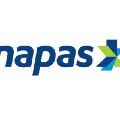 Napas