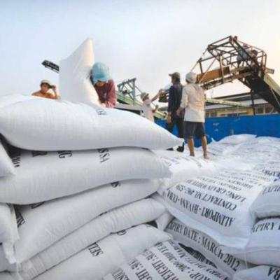 Doanh nghiệp chuẩn bị cho việc xuất khẩu gạo trở lại | TCKTCT